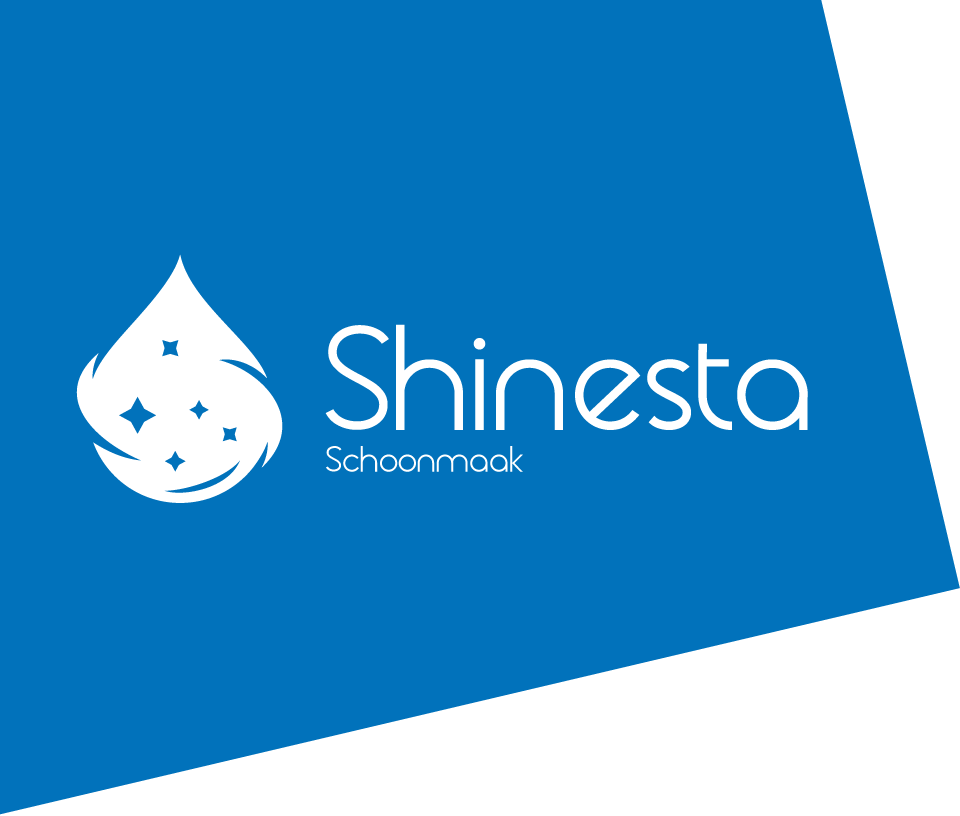Shinesta header logo