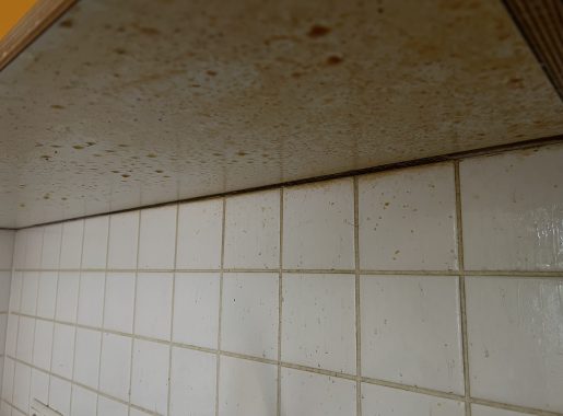Before image of compare element
